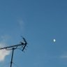 Profilbild von この宇宙の片隅に
