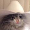h3n_z3r's profile picture