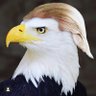 Katvan's profile picture