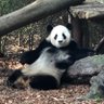 leo10252000 的头像