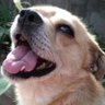 Junjian profil fotoğrafı