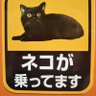 おにきゅう's profile picture