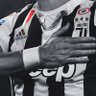 Ahmed Alshokry's profile picture