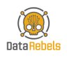 DataRebels's profile picture