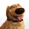 S3Family's profile picture