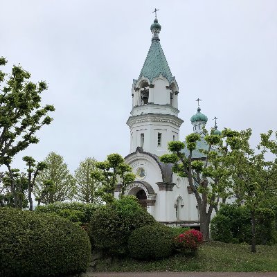 ocj_hakodate's profile picture