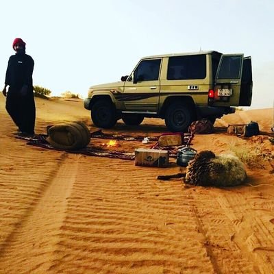 بدر بن بادية السماوة's profile picture