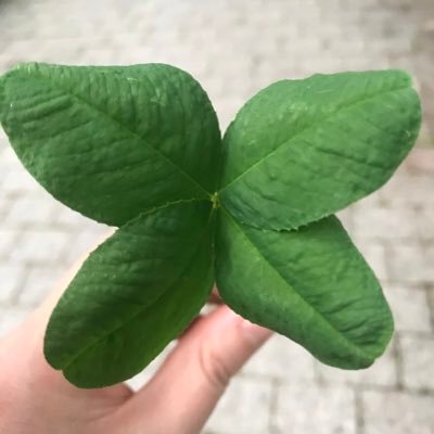 fmwaiVtj9AoJFJ0's profile picture