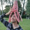 Profilbild von @MiguelGuerreiro@ecoevo.social