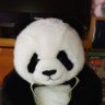 Profilbild von たかちゃん