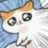 Cat Mario profil fotoğrafı