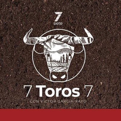 7 TOROS 7's profile picture