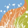 Restoring Shropshire's Verges Project's profile picture