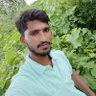 SUSHANT SHEKHAR profil fotoğrafı