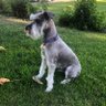 TuChinMa-LLC 🌻🌻 profil fotoğrafı