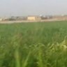 Profilbild von عبادي