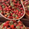 Фото профиля فراوله🍓