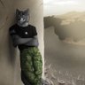 TheLoneWolfy 的头像