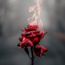 عبدالله عبدالمنان's profile picture