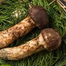 Фото профиля 性癖を堪能してみたい男👨