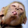 Profilbild von Ultor