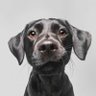 biozero's profile picture