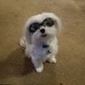 SimplyAnotherWay's profile picture