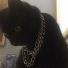 p bean's profile picture