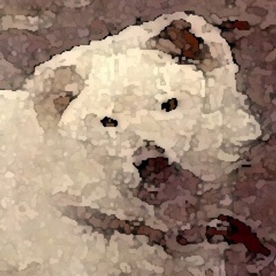 HETAX-FILM's profile picture