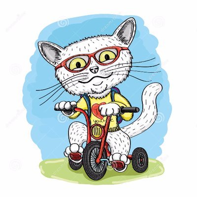 Albert Lechat 🚲's profile picture