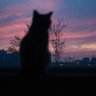 星辰 profil fotoğrafı