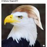 I'm the MAGA Mimi 的头像