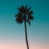 s.'s profile picture