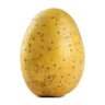 Potato 的头像