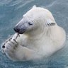 Profilbild von TomWang