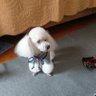 飯田篤司's profile picture