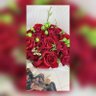 Фото профиля أ. حنان الجبري