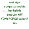 Profilbild von AnatolianEagle