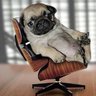 Misch37's profile picture