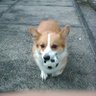 ひろりん profil fotoğrafı