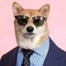 Felix Lau's profile picture