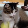 クロ profil fotoğrafı