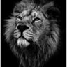 jmmkr profil fotoğrafı