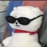Felix's profile picture
