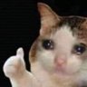 KrazyG's profile picture