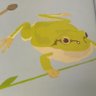 Green frog (肉球🐾🐾)'s profile picture