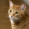 やまじ profil fotoğrafı