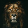Фото профиля Simba🦁