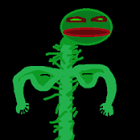 planty480's profile picture