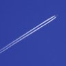 callbluesky777's profile picture